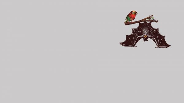 1920x1080 px,Batman og Robin