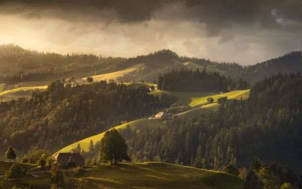 luce del sole, paesaggio, foresta, tramonto, collina, alberi