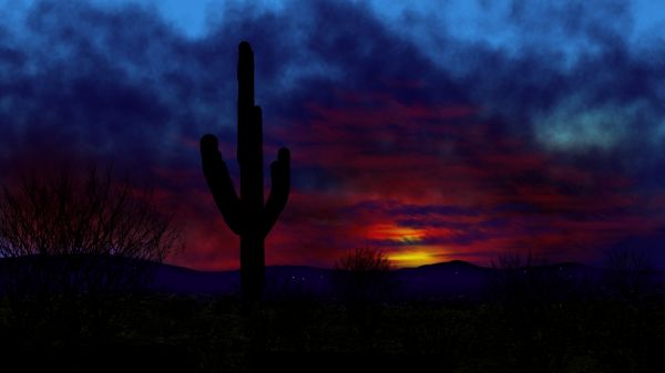 digitale kunst,natuur,landschap,cactus,digitaal schilderen,schemer