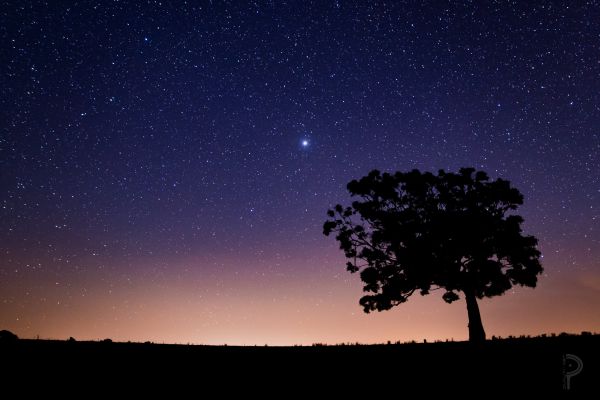 noc, galaxie, nebe, fotografování, hvězdy, silueta