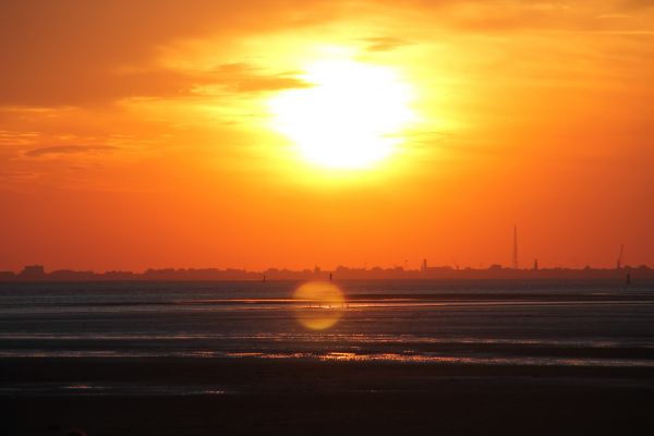 mare,spiaggia,luce del sole,tramonto,Alba,sera