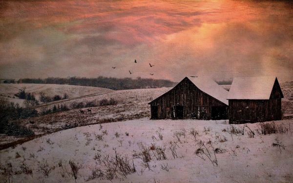 paisaje,pintura,aves,nieve,invierno,edificio