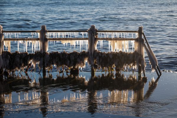 mer, eau, réflexion, véhicule, la glace, bateau