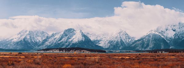 tájkép,Grand Teton Nemzeti Park,hegy,fák,köd,Yellowstone Nemzeti Park