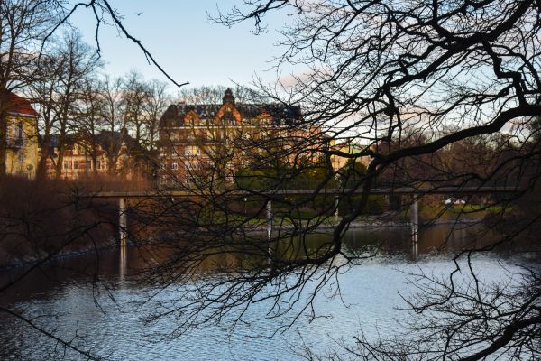 sunlight, trees, landscape, water, nature, building