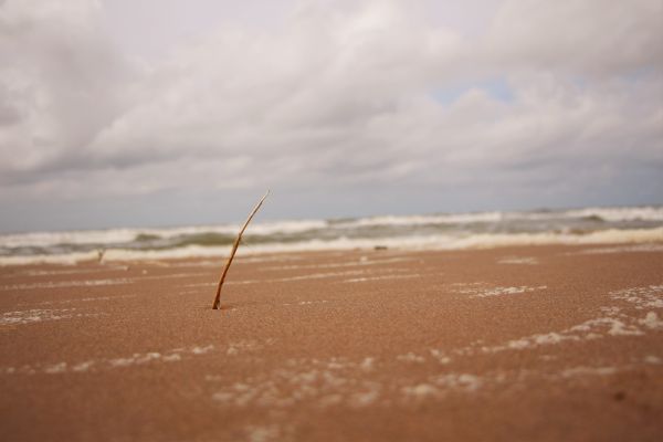 mare,acqua,sabbia,cielo,spiaggia,puntellare