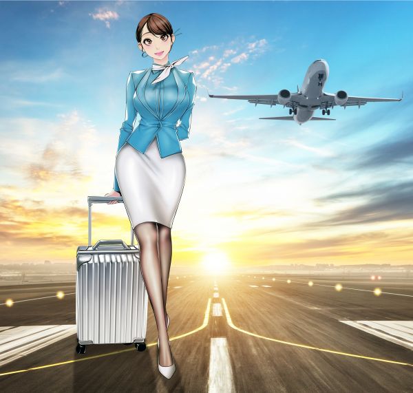 flight attendant,avion