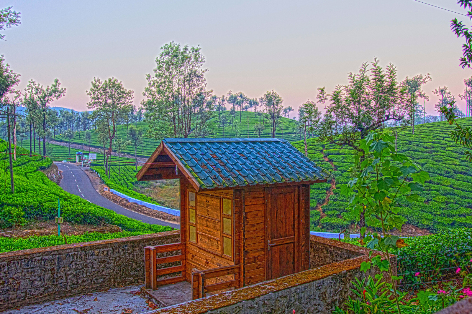 trees, garden, architecture, nature, building, grass, road, artwork, house, sunrise, green, hills, morning, farm, playground, backyard, ART, tree, flower, yard, streetphotography, simplysuperb, agriculture, creative, canon60d, rural area, residential area, outdoor structure, teagarden, beautyofnature, sigma1835mmf18