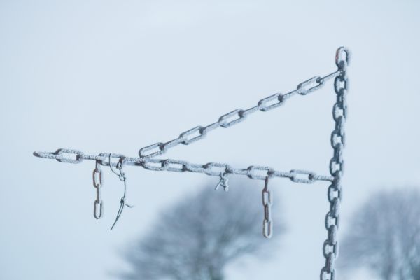 taggtråd, snö, vinter-, gren, landskap, himmel