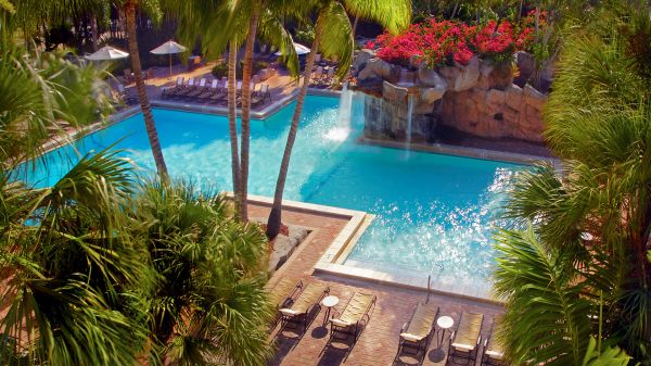 piscine,Tropical Vacation,les plantes,fleurs,chaises longues,cascade