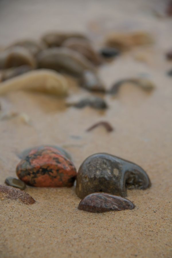 Meer,Sand,Strand,Küste,Lebensmittel,Kieselsteine