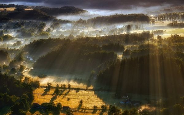 alberi, paesaggio, foresta, luce del sole, cascata, tramonto