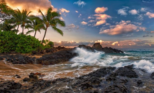 Ειρηνικός ωκεανός,πετρώματα,Maui,Χαβάη,βράχος,Σπάζοντα κύματα παραλίας