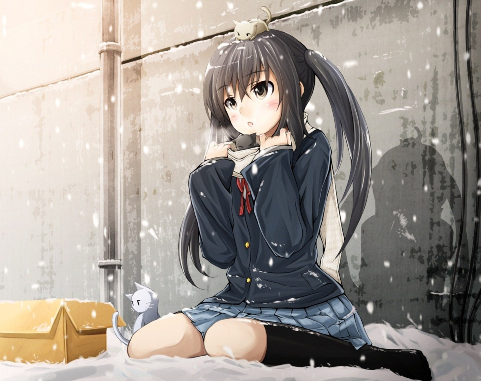 1920x1520 px, 动漫, azusa, 猫, 女孩, K, 膝盖, 中野, 上, 学校, 雪, 袜子, 制服