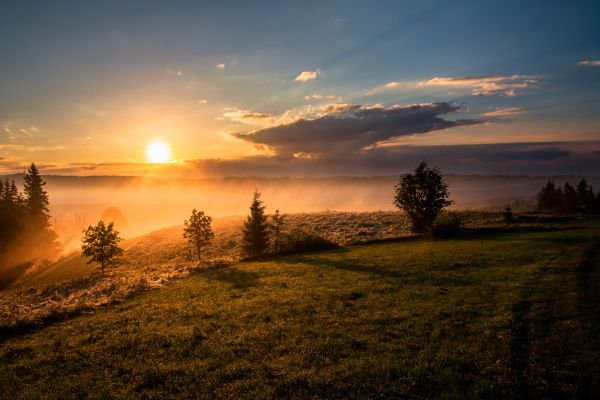 landschap,zonsondergang,bomen,natuur,zonnestralen,mist