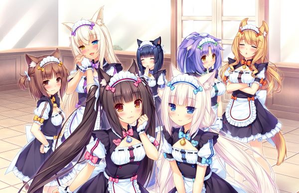 εικονογράφηση, anime, κορίτσια anime, κορίτσι γάτα, Neko Para, twintails