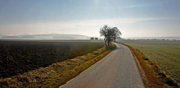 la carretera,luz de sol,paisaje,colina,árbol,Strasse