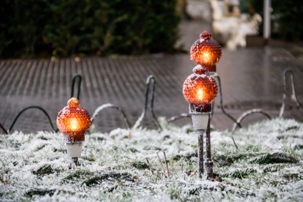 jardin,la nature,Noël,Danemark,l'automne,feuille