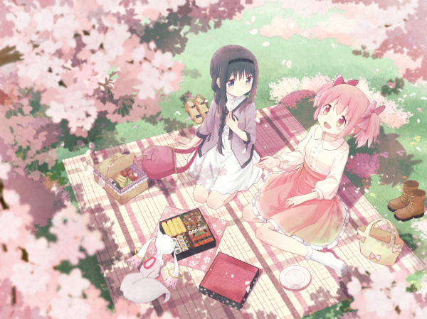 anime,animeflickor,Mahou Shoujo Madoka Magica,Kaname Madoka,Homura Akemi