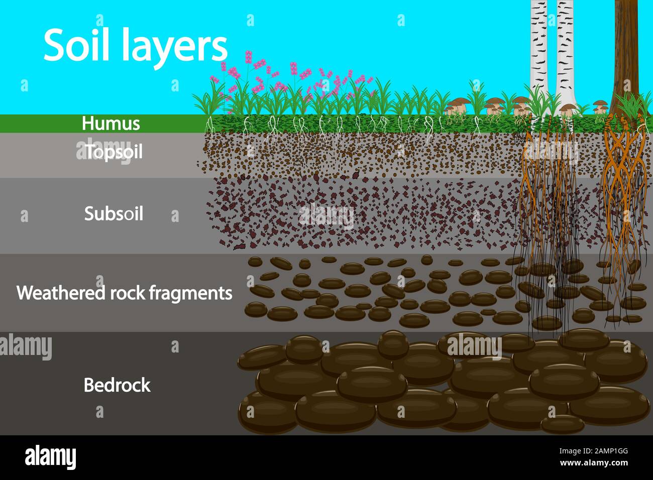 Soil Texture Diagram