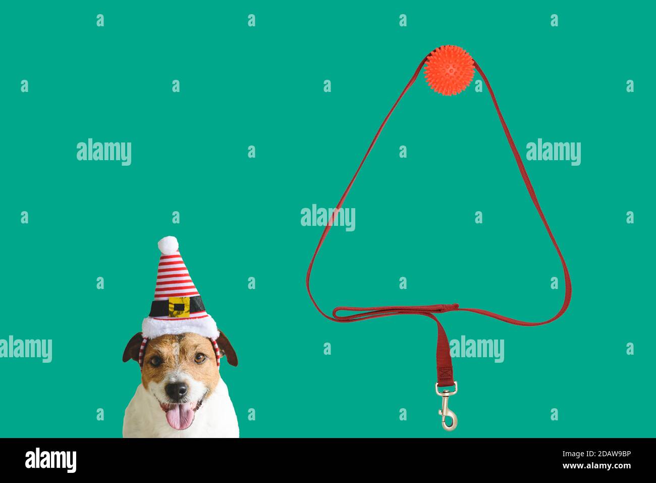 Concept of funny little elf under New Year tree with dog and artificial tree made from dog leash Stock Photo