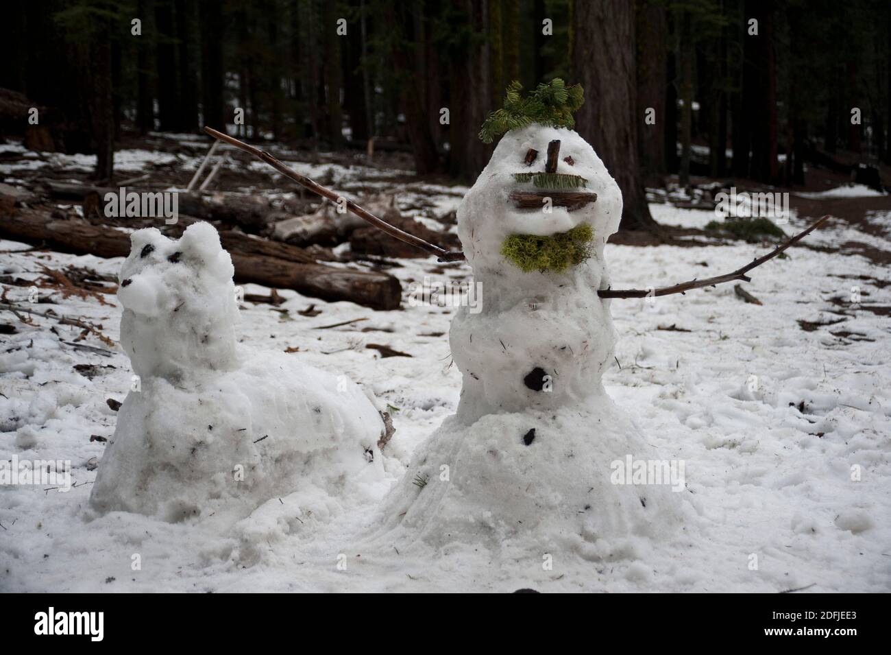 Snowman and snow dog surrounded by woods Stock Photo