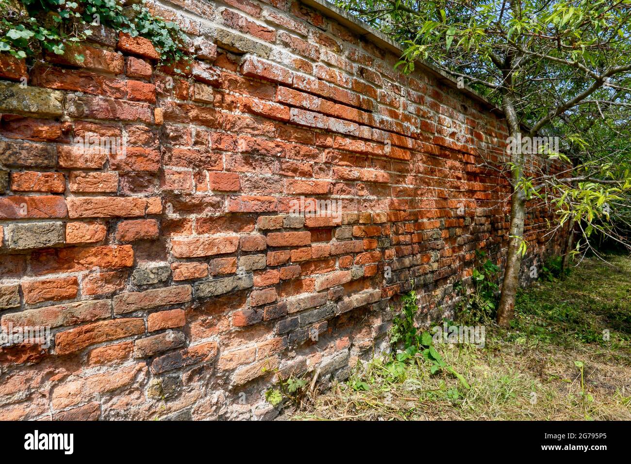 Old brick wall. Stock Photo