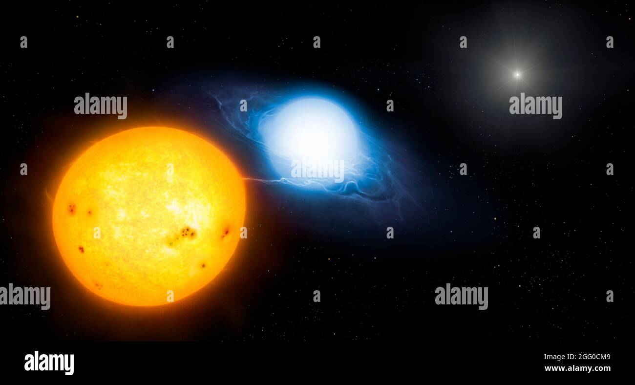 An impression of the system Algol (Beta Persei). A blue spectral class B8 star with a diameter of 3 solar diameters and red-yellow spectral class K2 star of about 3.5 solar diameters are in very close orbit around each other, and a ring of tenuous gas surrounds the blue star, stolen from its partner. A third star, Algol C (right), orbits this central binary at a greater distance, making this a triple star system.Algol is the prototype of an entire class of eclipsing binary stars called Algol systems. Stock Photo