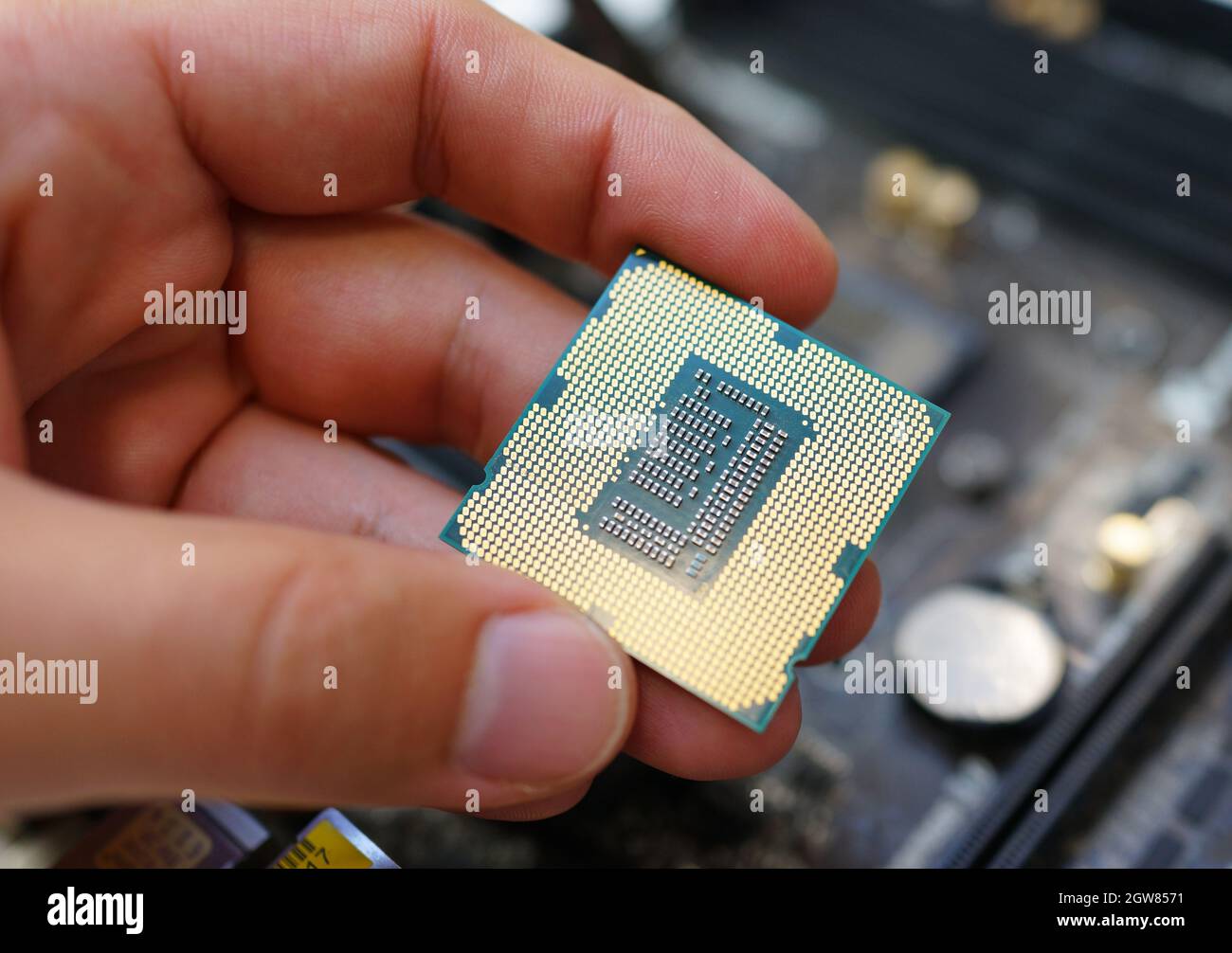 Working on the motherboard and pc processor Stock Photo