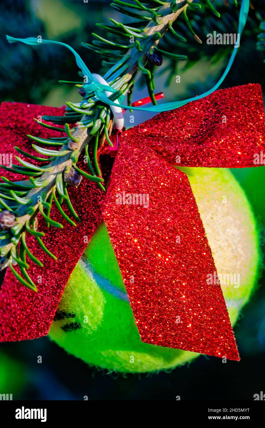 A tennis ball hangs on a Christmas tree for dogs, Dec. 24, 2021, in Dauphin Island, Alabama. Stock Photo