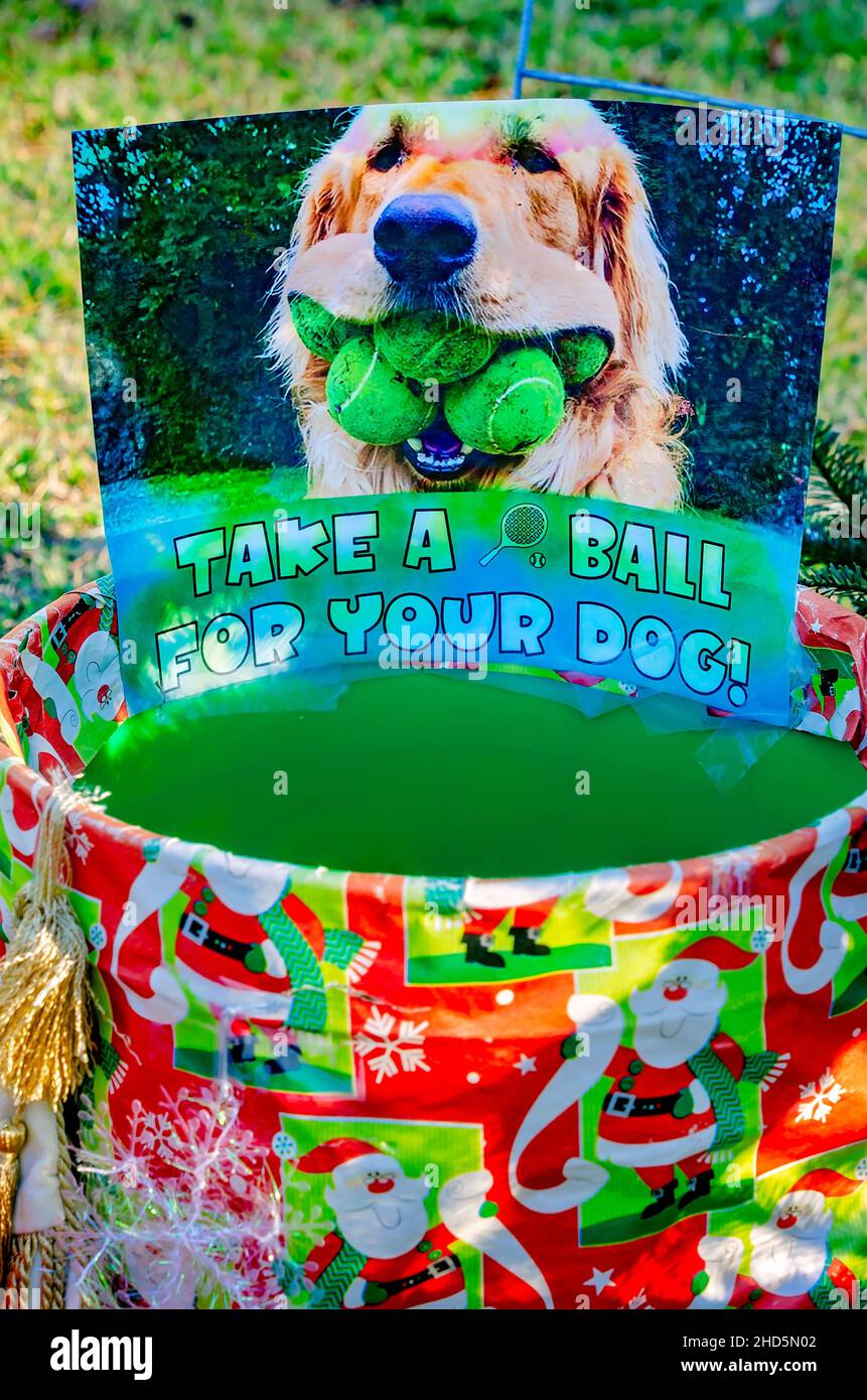 A bucket of tennis balls sits beside a Christmas tree for dogs, Dec. 24, 2021, in Dauphin Island, Alabama. Stock Photo