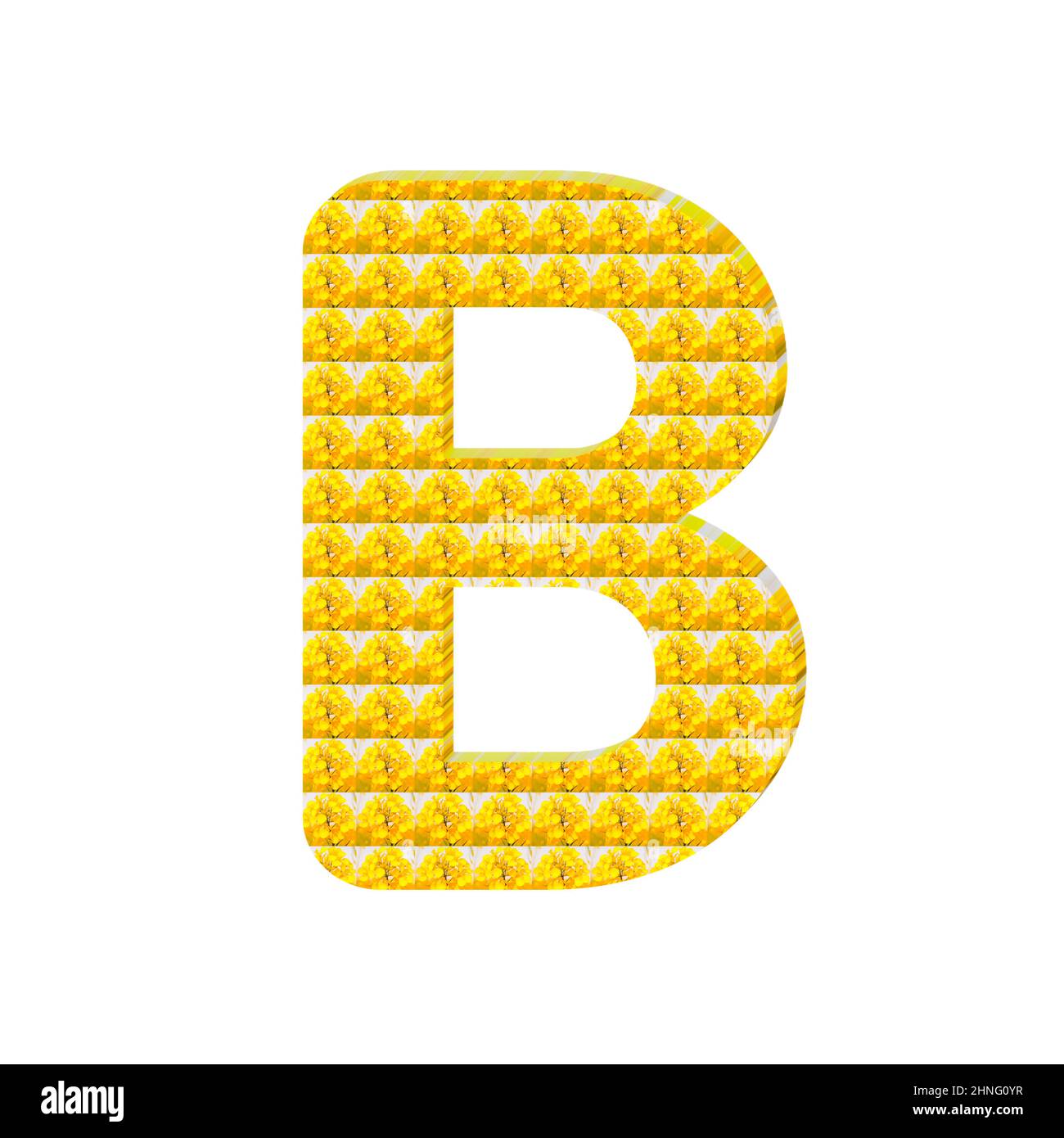 3d illustration of a letter B composed of yellow mustard flowers  isolated on white background Stock Photo