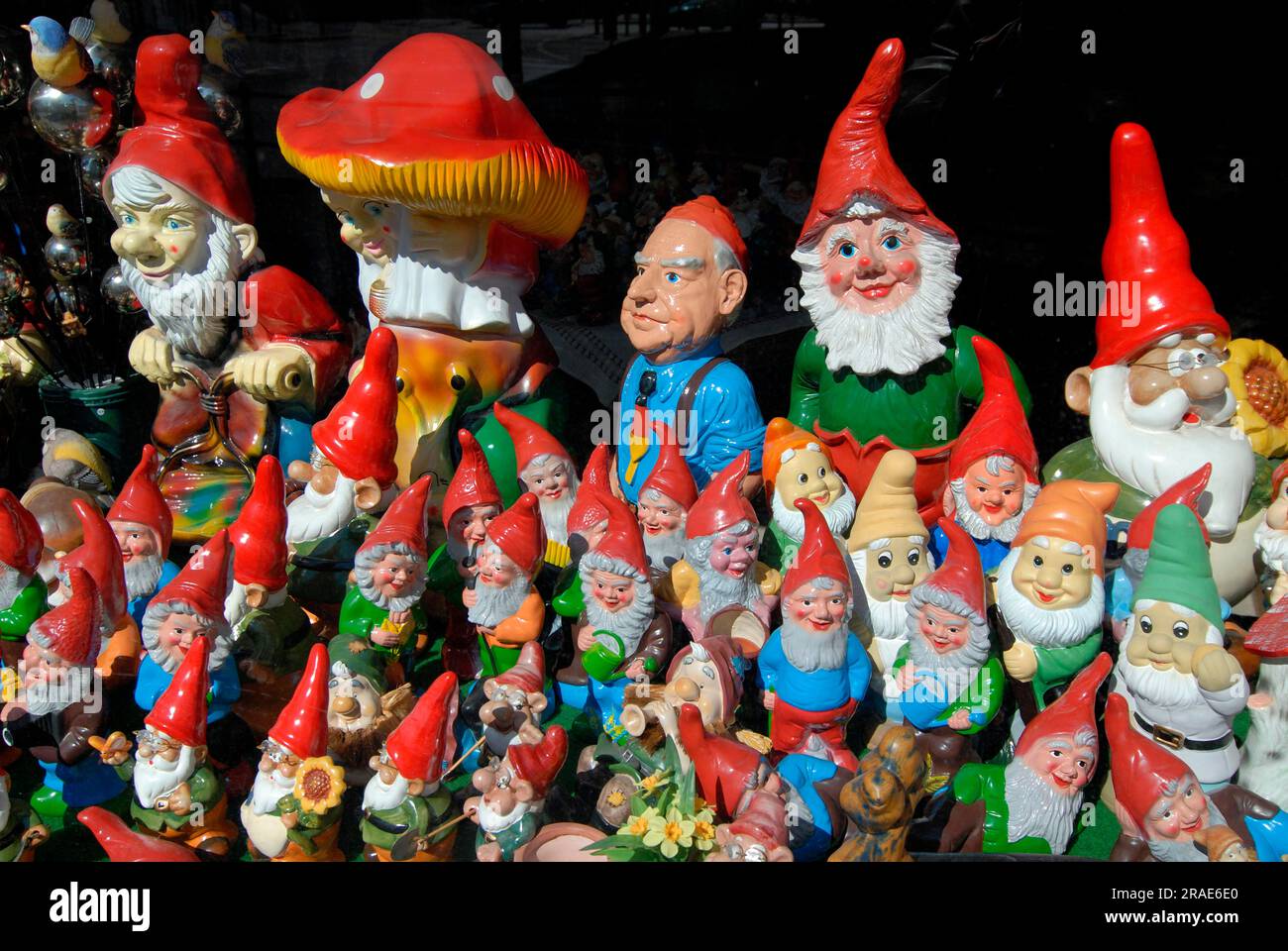 Garden gnomes Stock Photo