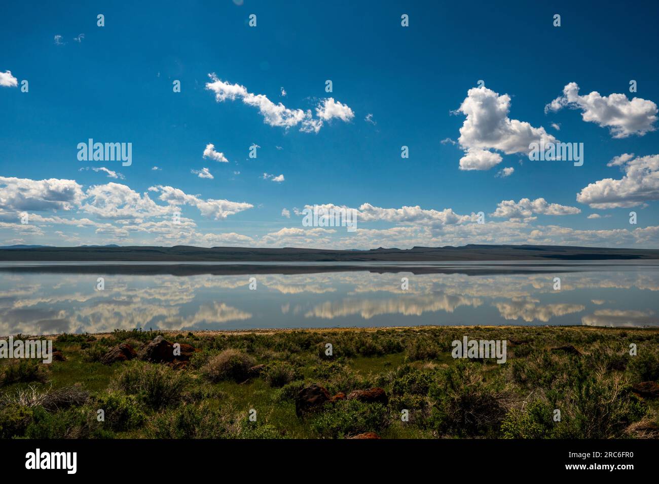 Midday at Oregon's hypersaline Lake Abert, a mecca for migratory shorebirds. Its future is at risk for many reasons. Stock Photo