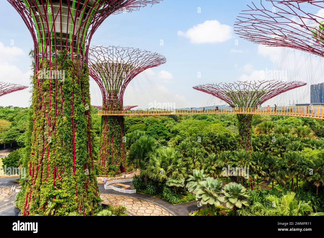 People on the elevated walkway through the Supertree Grove at Gardens by the Bay, Singapore Stock Photo