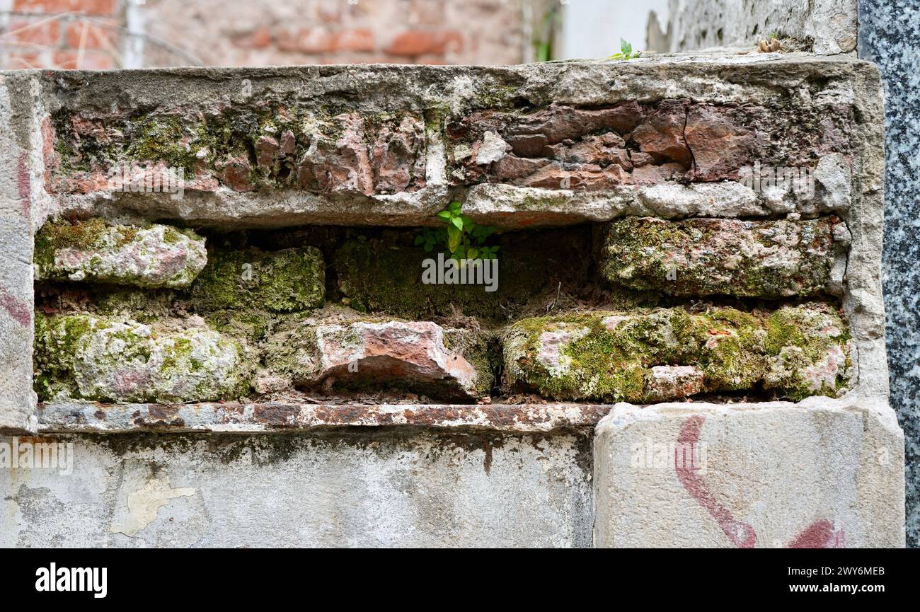 Crumbling brickwork in an ancient wall with moss growing over. Stock Photo