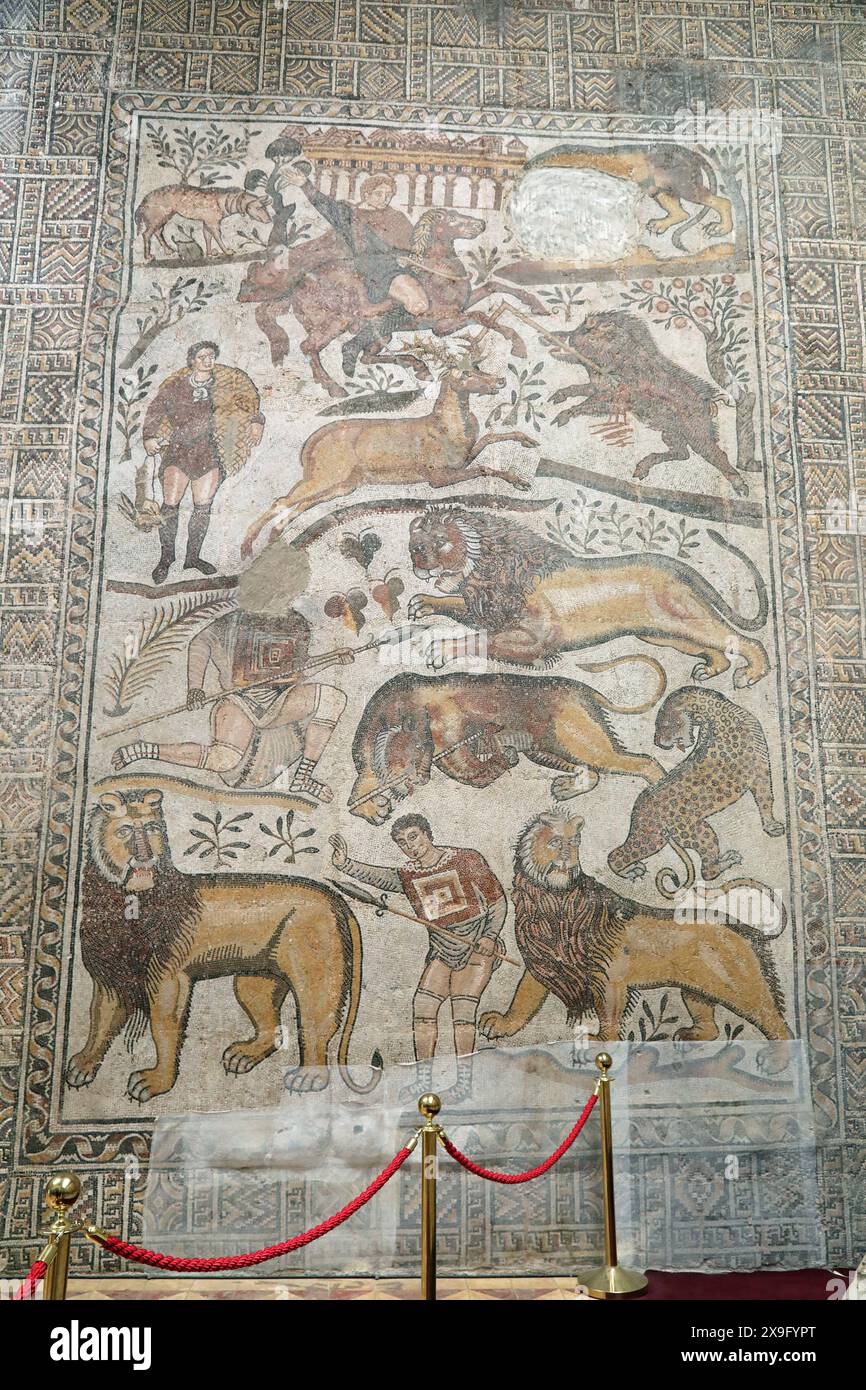 Roman mosaic at Djemila Museum in Algeria Stock Photo