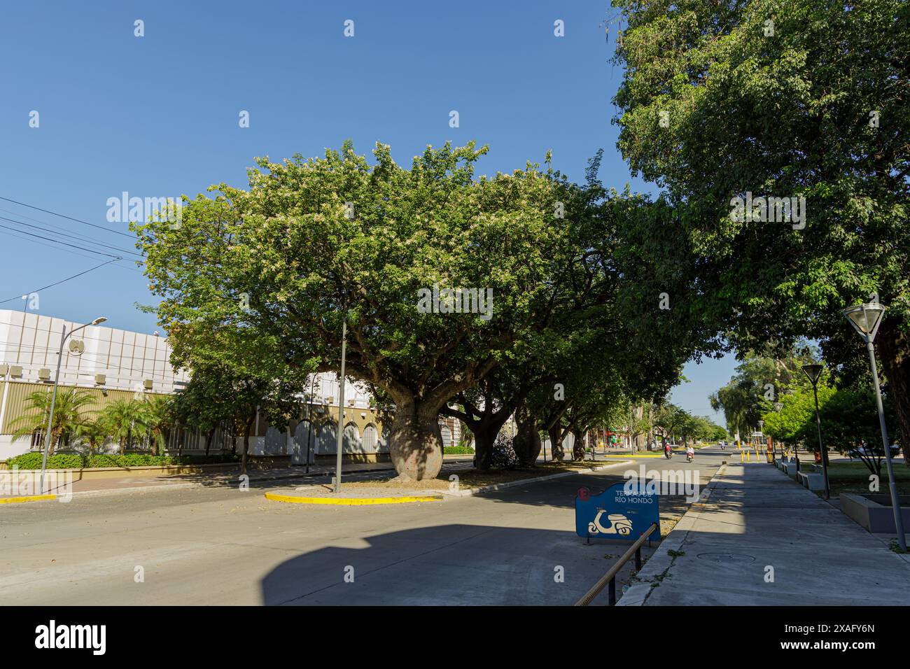 Tree-lined street in Termas de Rio Hondo, Santiago del Estero. Stock Photo