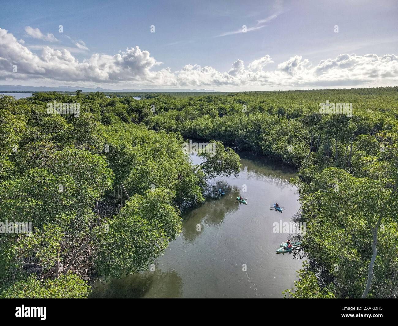 North America, Caribbean, Greater Antilles, Hispaniola Island, Dominican Republic, Hato Mayor Province, Sabana de la Mar, Los Haitises National Park, kayaker on the Rio Cano Hondo river in the mangroves of Los Haitises National Park Stock Photo