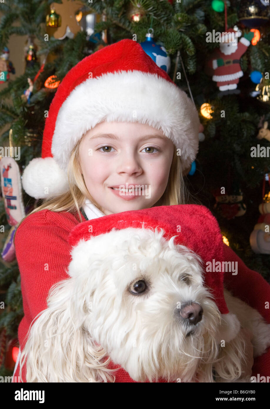 Child with her dog in front of a Christmas tree Stock Photo