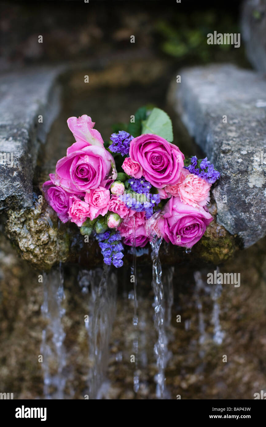 Roses placed at a well during the Bisley well dressing custom at Bisley, Gloucestershire. Stock Photo