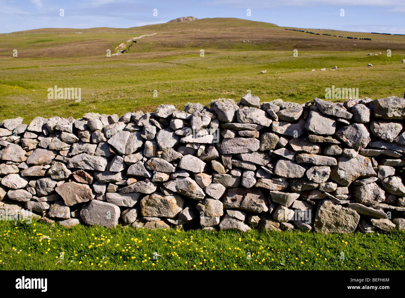 Dry stone wall on Fair Isle Shetland Stock Photo