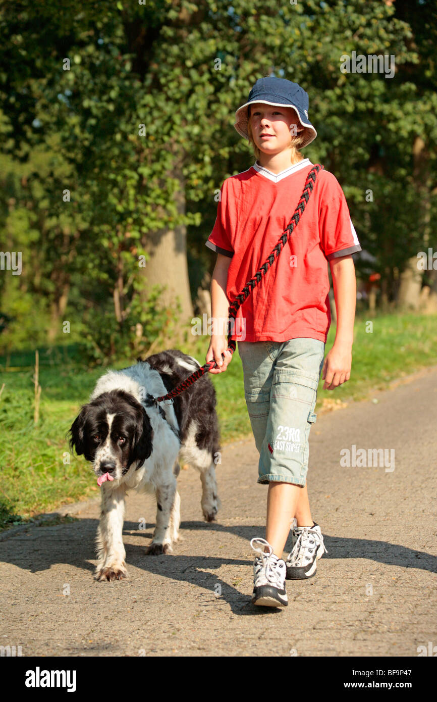 young boy walking his dog Stock Photo