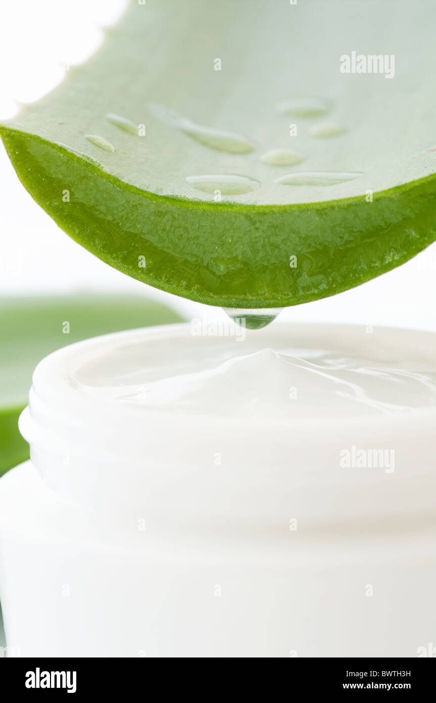 Aloe Vera Leave with open white lotion box as closeup on white background Stock Photo