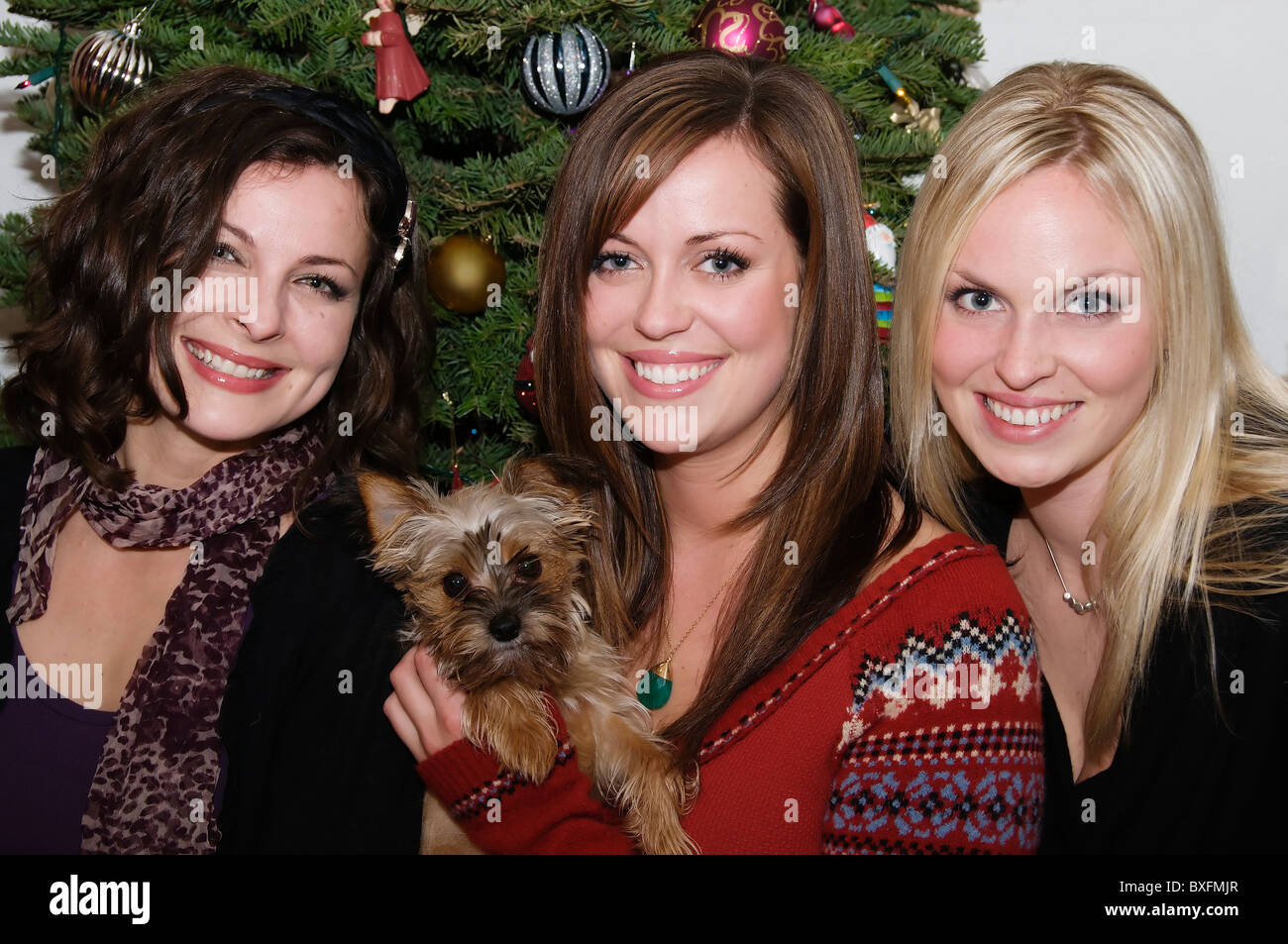 Three young women and a cute little dog pose indoors in front of the family Christmas tree. Stock Photo