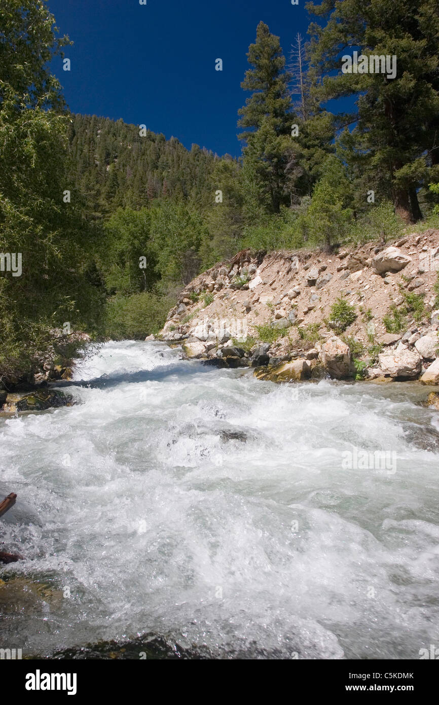 Vertical of Rio Hondo in Taos County Stock Photo