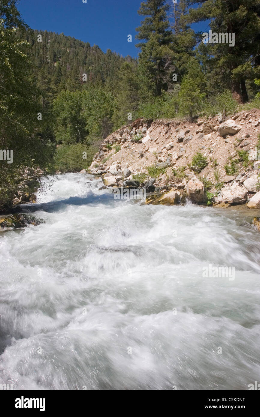 Vertical of Rio Hondo River, Taos County, New Mexico Stock Photo