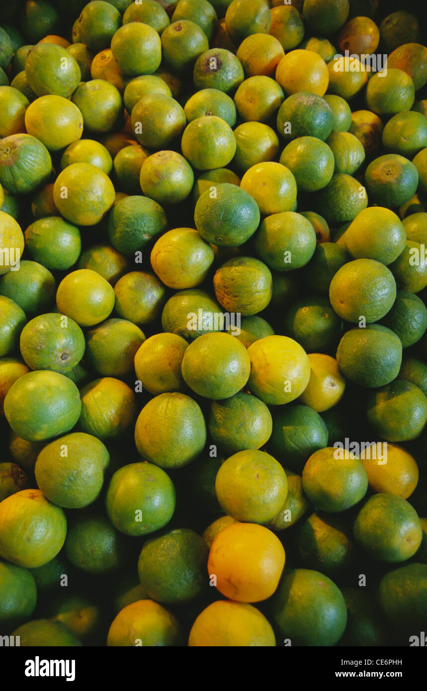 Sweet lime fruit ; Sweet lemon fruits ; Mosambi fruit ; Mausambi fruits ; abstract ; background ; india ; asia Stock Photo