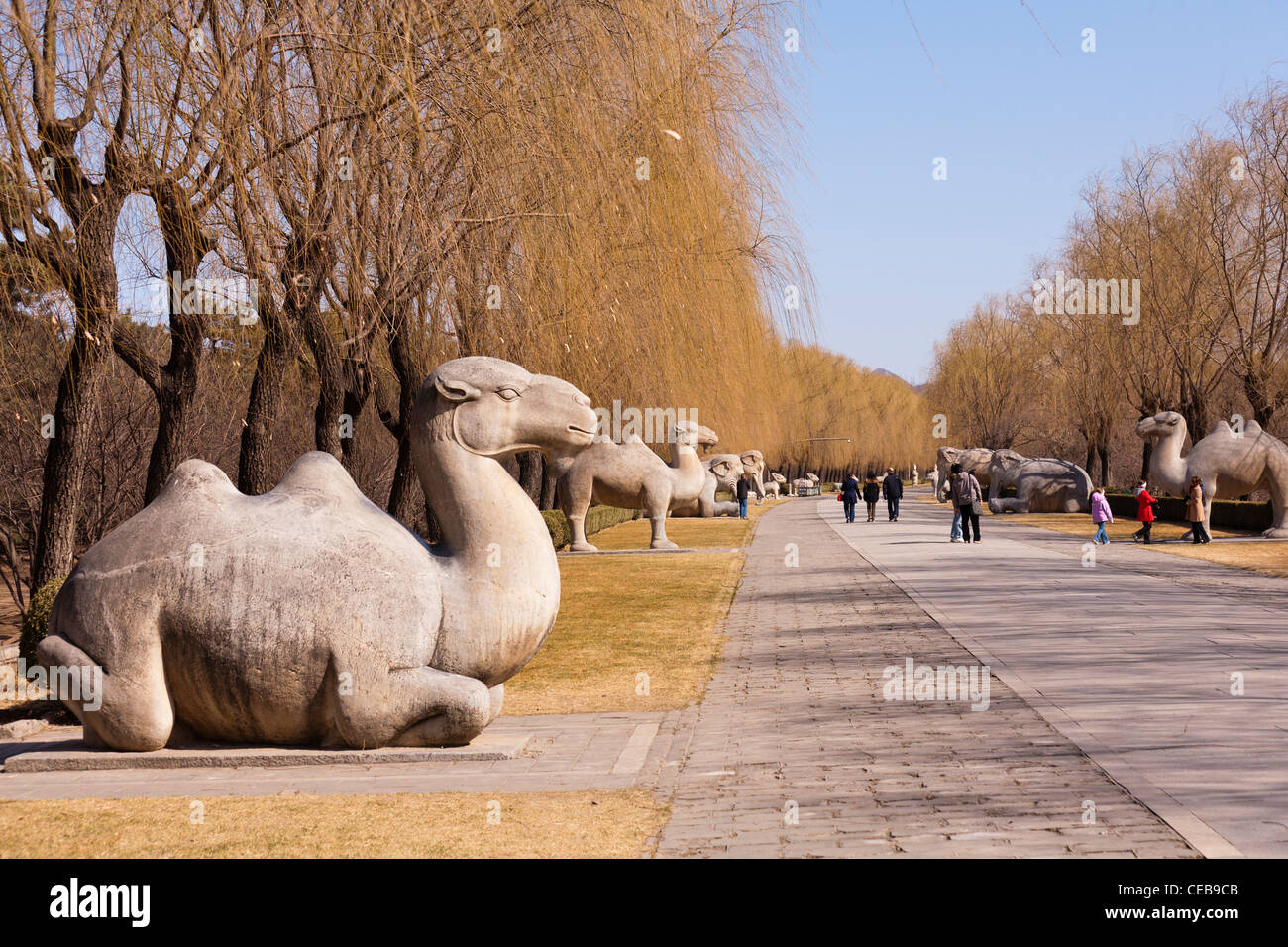 The Sacred or Spirit Way leading to the Ming Tombs outside Beijing, China. Stock Photo