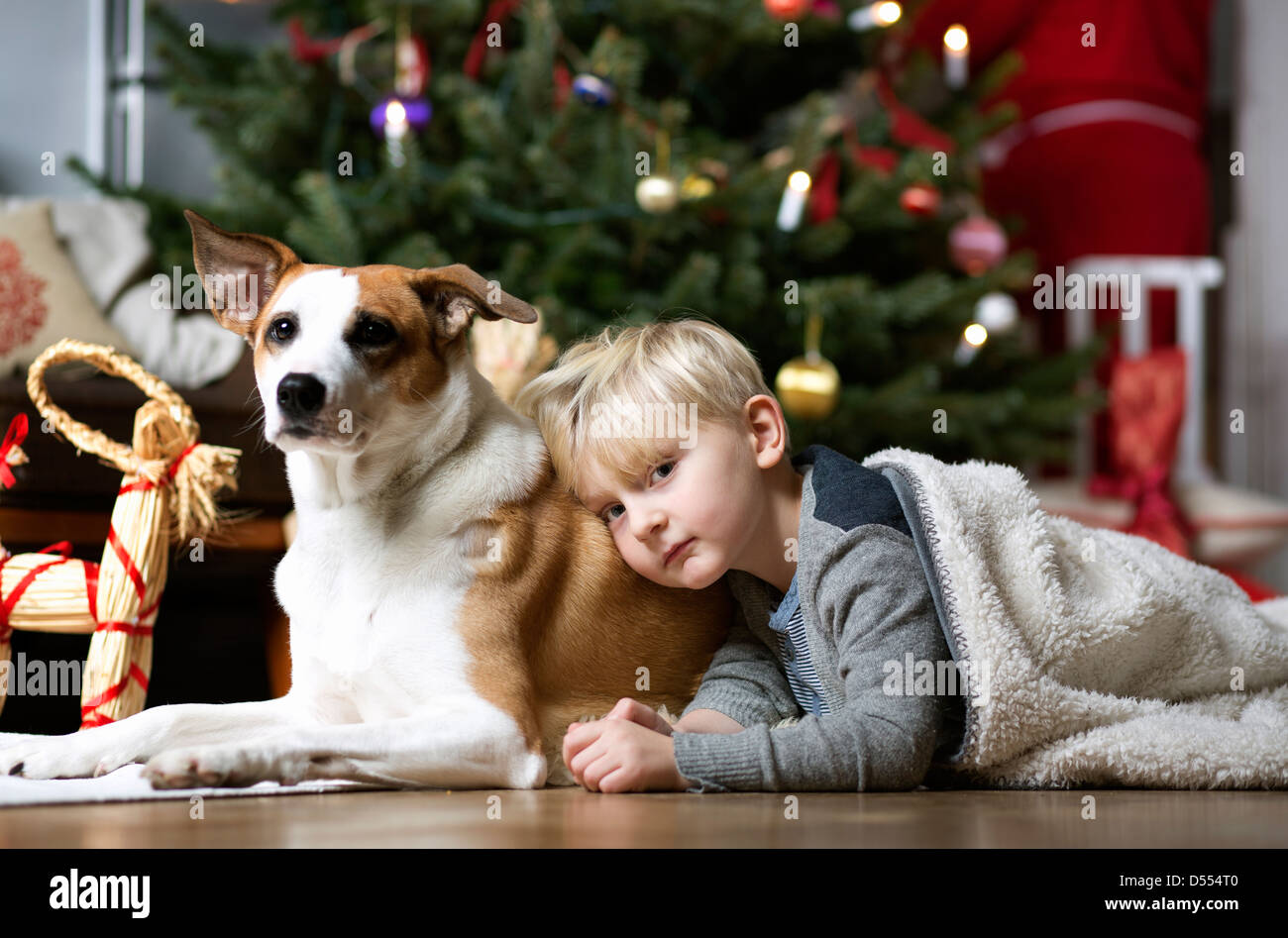 Boy and dog by Christmas tree Stock Photo